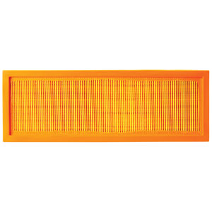 A-AF55773 Filter, Cab Air (QTY 1)