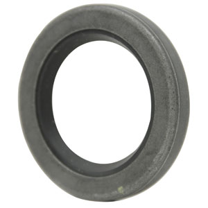 A-203013-P Seal