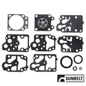 A-B1WD10WY Gasket and Diaphragm Kit