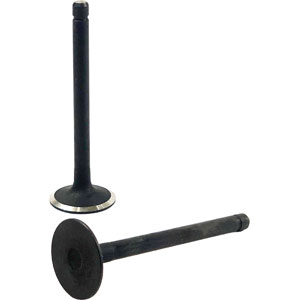 A-16484-13110 INTAKE VALVE, 03 SERIES IDI