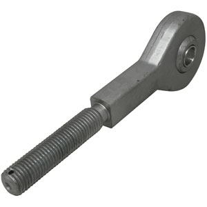A-AR81096 Eyebolt