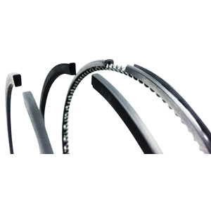 A-1G924-21052 RING SET, STD, V2403 MDIT