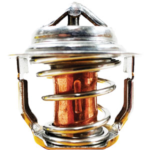 A-19434-73014 THERMOSTAT, V2203-V2003-T