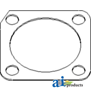 A-DANAH2246C Shim, King Pin; .010