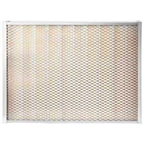 A-AF27685 Filter, Air (QTY 1)