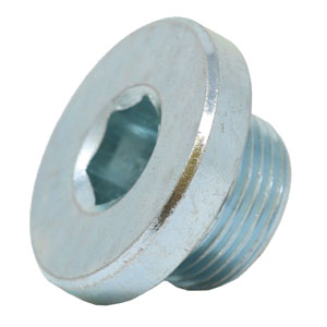 A-4894139 Plug, Hex Socket