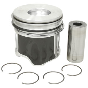 A-1931021 Piston W/ Rings; Std