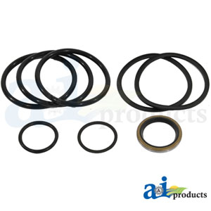 A-1C4629 Cyl Seal Kit