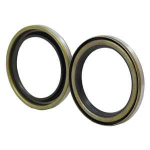 A-AH98118 Seal