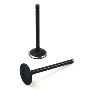 A-1C020-13110 INTAKE VALVE, V3 DI SERIES
