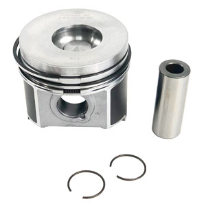 A-1G796-21772 KIT, PISTON & RINGS, STD, V2203 MDI