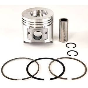 A-129902-22900 Piston Kit; 0.25