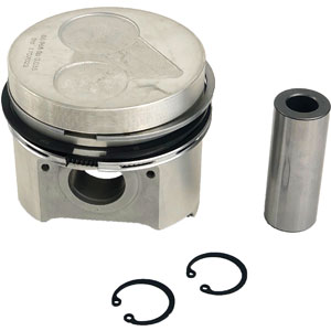 A-19077-21772 KIT, PISTON & RINGS, STD V2203 IDI