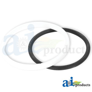 A-1665685M91 Seal Kit
