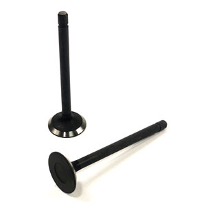 A-1C020-13120 EXHAUST VALVE, V3 DI SERIES