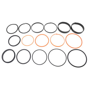 A-AHC19979 Seal Kit, Hydraulic Cylinder
