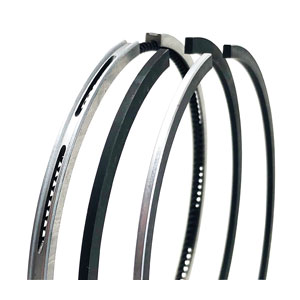 A-1G790-21053 RING SET, STD, V2203-V2403 DI
