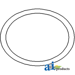 A-1860838M1 O-Ring, Rear Axle Housing Carrier Plate