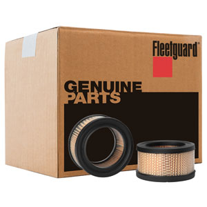 A-AF1651 Filter, Air (QTY 6)