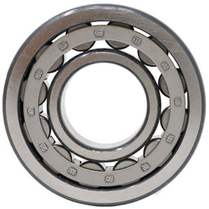 A-M1306EL Bearing