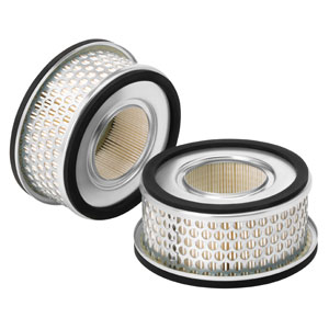 A-AF25221 Filter, Air (QTY 1)