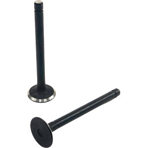 A-16484-13120 EXHAUST VALVE, 03 SERIES IDI