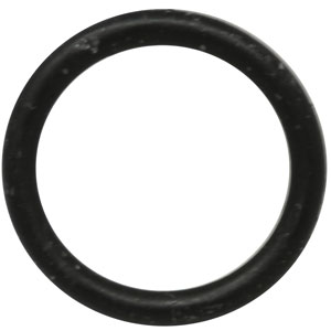 A-167269 O-Ring
