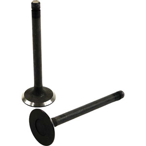 A-15221-13110 INTAKE VALVE, V1702 IDI