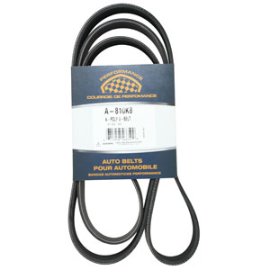 A-810K8 Micro-Rib V-Belt (81")