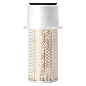 A-AF25591 Filter, Air (QTY 1)